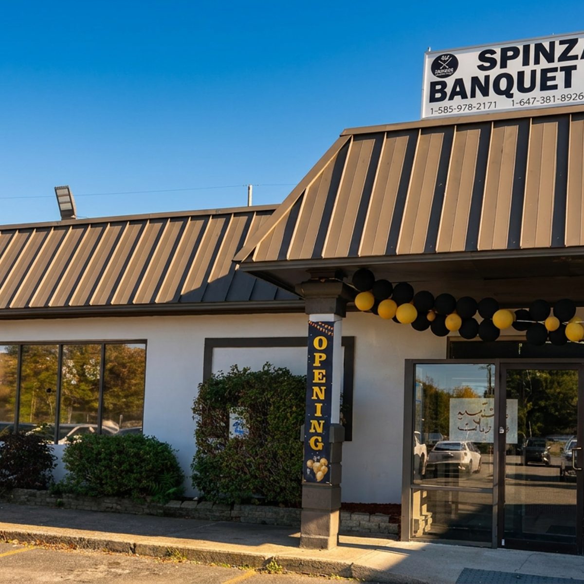 The Story Behind Spinzar