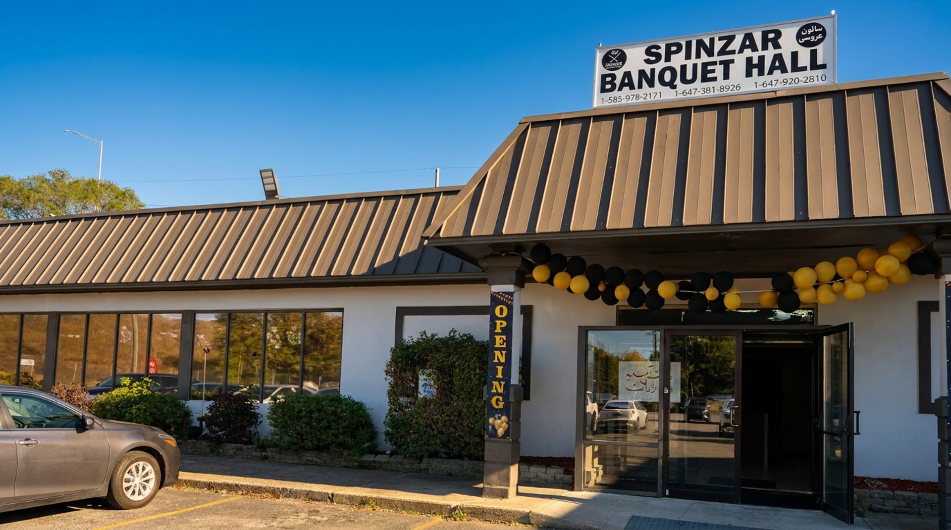 The Story Behind Spinzar